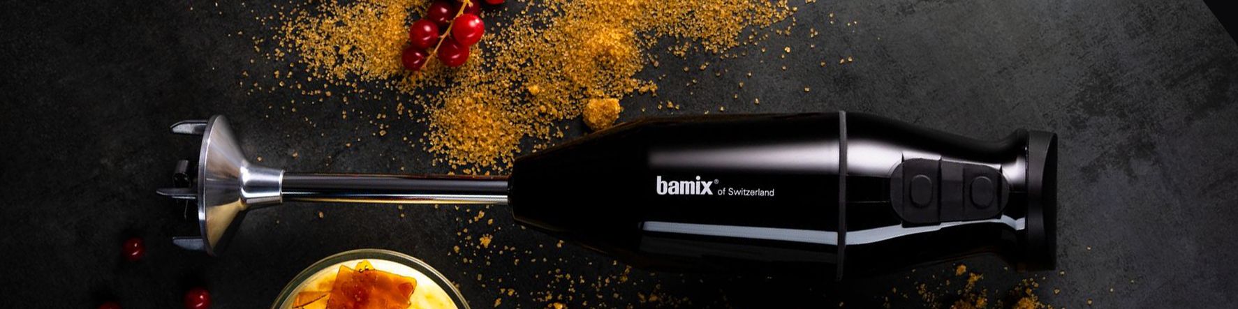 Bamix Banner - Christmas v3